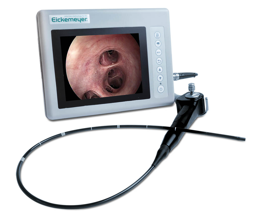 Videoendoskop Eickview LED 70